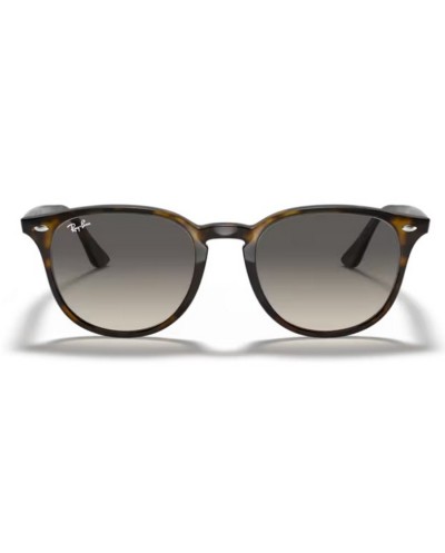 Occhiali da Sole Rayban RB 4259