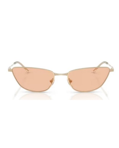 Occhiali da Sole Emporio Armani EA 2174B